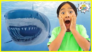 Learn about Shark Facts for Kids with Ryan [upl. by Rosati952]