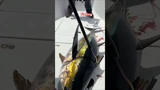 Beautiful site fishing shortvideo fishing cutebabies funny fashiontrends [upl. by Phippen983]