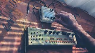 Monome Norns Shield  mlr  Critter amp Guitari Organelle M  ambient jam [upl. by Amby376]