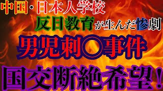 【中国オワコン】罪のない男児を刺◯！嘘の歴史で敵国認定する中国に批判続出 [upl. by Rehportsirhc295]