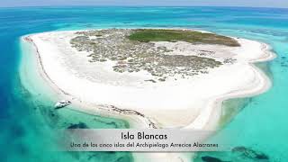 Arrefice Alacranes [upl. by Weaks]