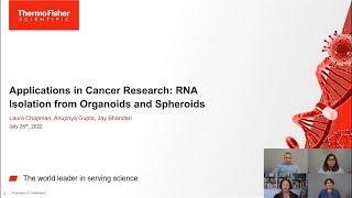 RNA Extraction from Organoids and Spheroids [upl. by Dash728]