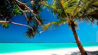 Calming Music  HD Beach Relaxation [upl. by Tjader]