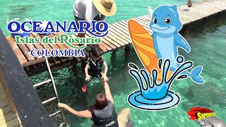 superjesús se va de vacaciones a nadar con delfines│Oceanario de Colombia│Islas del Rosario [upl. by Cimbura455]