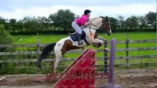 WARNING CONTAINS FLASHING IMAGES Horse Riding Thrills amp Spills 200 [upl. by Eire246]