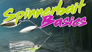 Bass Fishing Basics How To Fish A Spinnerbait [upl. by Garda205]