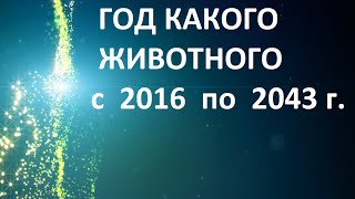 Год какого животного 2018 по гороскопу по годам по китайскому календарю сейчас [upl. by Sucramej]