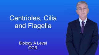 A Level Biology Revision quotCentrioles Cilia and Flagella OCRquot [upl. by Winstonn]