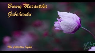 Broery Marantika  Lagu dan Lirik Gubahanku [upl. by Cristina955]