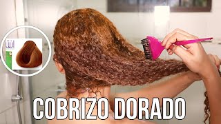 ¿Cómo Pintar sin Decolorar el Cabello con Tinte Cobrizo Paso a Paso🏡 ¡Fácilisimo [upl. by Glenine]