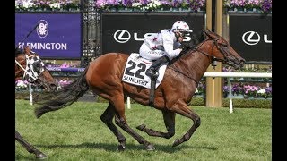 2019 VRC Newmarket Handicap [upl. by Belia]