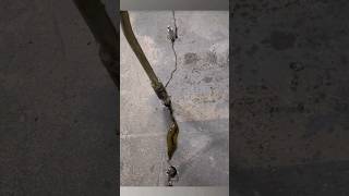 Crack injection is a technique used to repair cracks in concrete structures [upl. by Jacey]