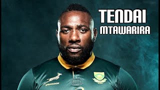 Tendai Mtawarira●The South African Beast [upl. by Durnan]