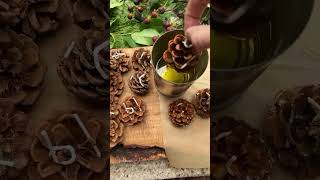 How to Make Homemade Pine Cone Fire Starters with Essential Oils [upl. by Enatan]