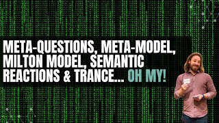 METAQUESTIONS METAMODEL MILTON MODEL SEMANTIC REACTIONS amp TRANCE OH MY [upl. by Alemac]