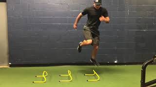 MedialLateral Hurdle Hops with pause [upl. by Easter]