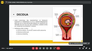 Obstetricia Placenta y membranas fetales 0407Dr Villar [upl. by Viafore884]