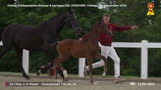 Lot 25 v VPower  Dostojewski [upl. by Milinda]