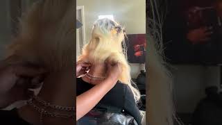 Installing Double Blonde Frontals  Pin Curls Ponytail Over Locs Tutorial [upl. by Hudgens]