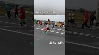 奈良マラソン2023まで残り5日。3年連続入賞なるか！？ 走る鍼灸師 奈良マラソン マラソンランナー [upl. by Nylla]