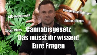 Das neue Cannabisgesetz I Das müsst ihr wissen I Rechtsanwalt erklärt [upl. by Arua]