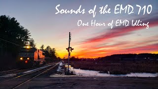 Sounds of the EMD 710  EMD SD60E in High Idle for One Hour [upl. by Wyatt569]