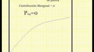 Rendimientos Marginales Decrecientes [upl. by Enitsenrae]