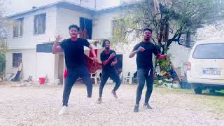 Goya Menor amp Nektunez  Ameno Amapiano Remix Dance VideoDynamic African Acrobatics Ghana [upl. by Elenore]