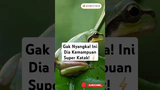 Gak Nyangka Ini Dia Kemampuan Super Katak ⚡katak hewanunik superpower faktahewan shorts facts [upl. by Allenaj765]