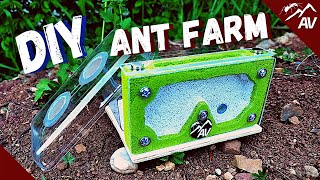 How to make a Formicarium  DIY Ant Farm for Pet Ant Colony [upl. by Thenna]