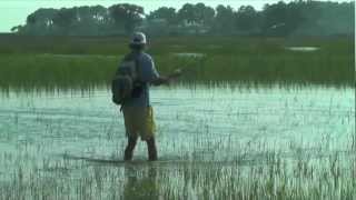 Tailing Redfish on the Fly Beaufort SC [upl. by Assillim329]