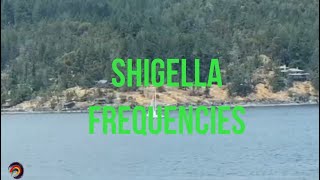 Combat Shigella Naturally Sound Healing Frequencies for Digestive Health [upl. by Archer]