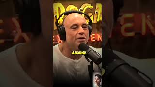 The Joe Rogan experience podcast joerogan [upl. by Ahcarb]