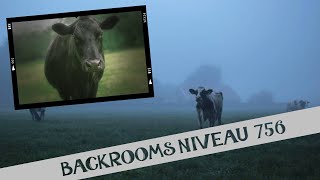 BACKROOMS UNE VACHE SEULE ET QUI NE BOUGE PAS [upl. by Katsuyama288]