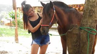 Girl Training Her Horse At Farm DariyaTube [upl. by Farris]