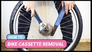 Bike Cassette Removal [upl. by Psyche]