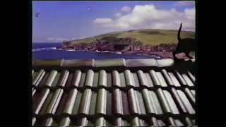 Monier Tiles Commercial  Top Cat In Roof Tiles 1984 Australia [upl. by Fesuy]