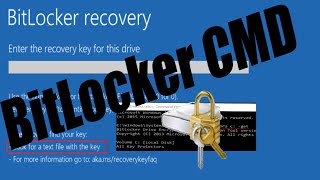 Find Your BitLocker Recovery Key Via CMD [upl. by Atilrahc]