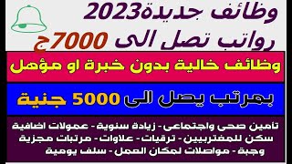 وظائف خالية لجميع المؤهلات للشباب والبنات رواتب 8000ج وظائف خالية فى مصر  وظائف اليوم [upl. by Kreager543]