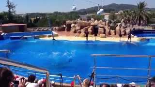 Lloret de Mar Marineland [upl. by Getraer324]