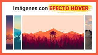 ¡GUAOO 😲 Imágenes con EFECTO HOVER con puro CSS  MagtimusPro [upl. by Hervey]