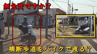 歩行者のフリをして横断歩道を渡ろうとする原付スクーター [upl. by Kerek799]