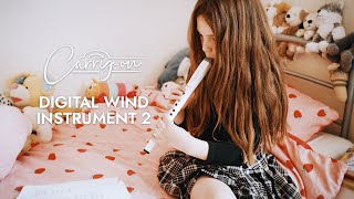 Carryon Digital Wind Instrument 2 I Play Anywhere [upl. by Albert]