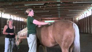 Denise Bean Raymond Demonstrates Equine Massage June 23 2013 Part 3 [upl. by Yenhpad]