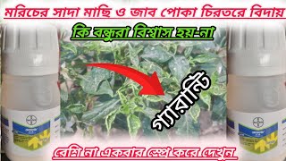 মরিচের সাদা মাছি ও জাব পোকা দমন করতে চানতাহলে একবার আমার কথাটা শুনুন১০০গ্যারান্টি দিলাম [upl. by Elliven]