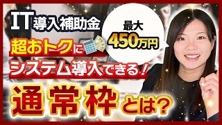 【IT導入補助金】通常枠ってどんな内容なら申請できるの？ [upl. by Seto]