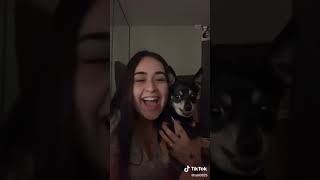 Im in the ghetto dog version tiktok [upl. by Blayne]