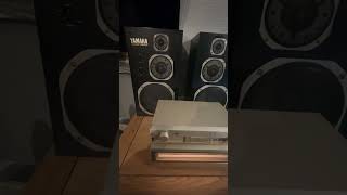 Technics SEA1010 amp SUC1010 Amplifier [upl. by Garv]