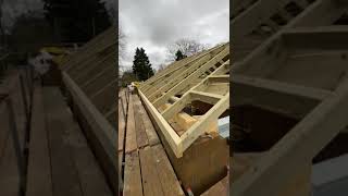 roof ladders work tips [upl. by Alleon]