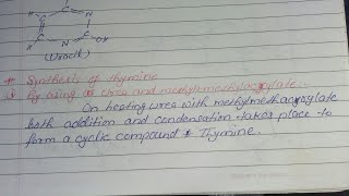 Synthesis of Thymine [upl. by Dar]